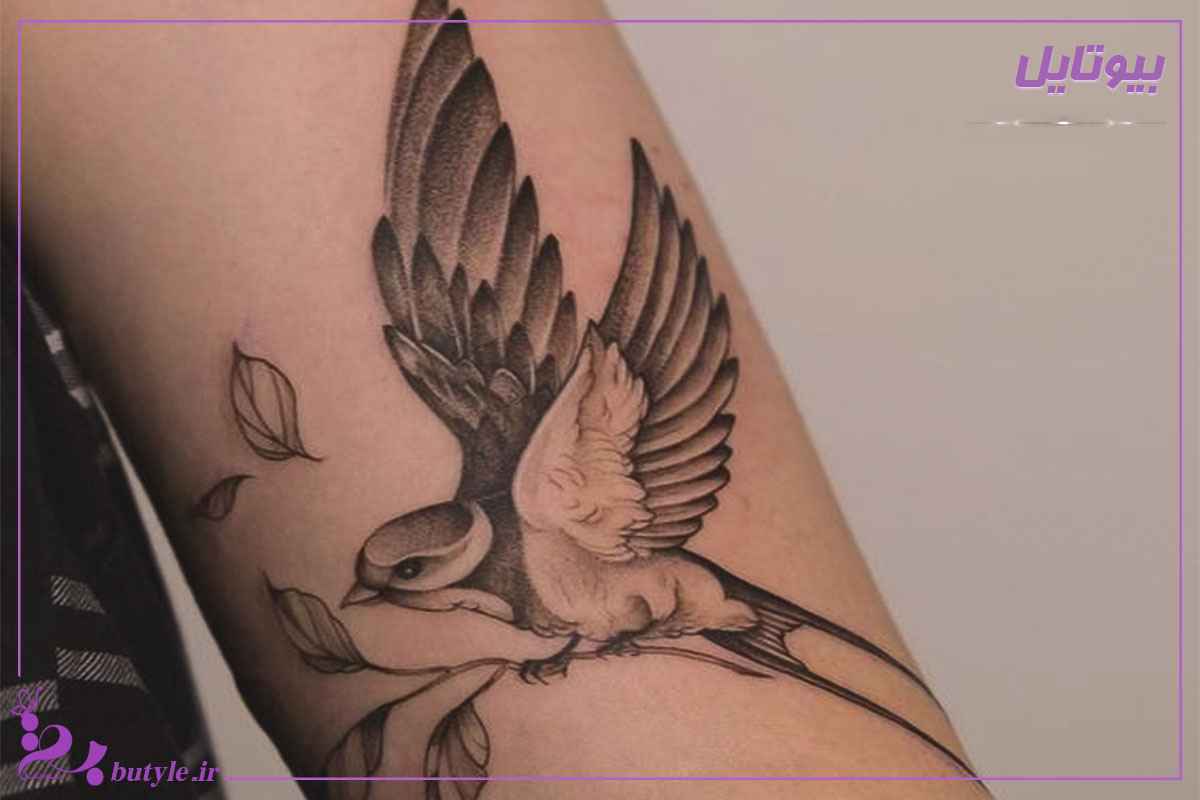 عکس تاتو پرنده روی ساعد