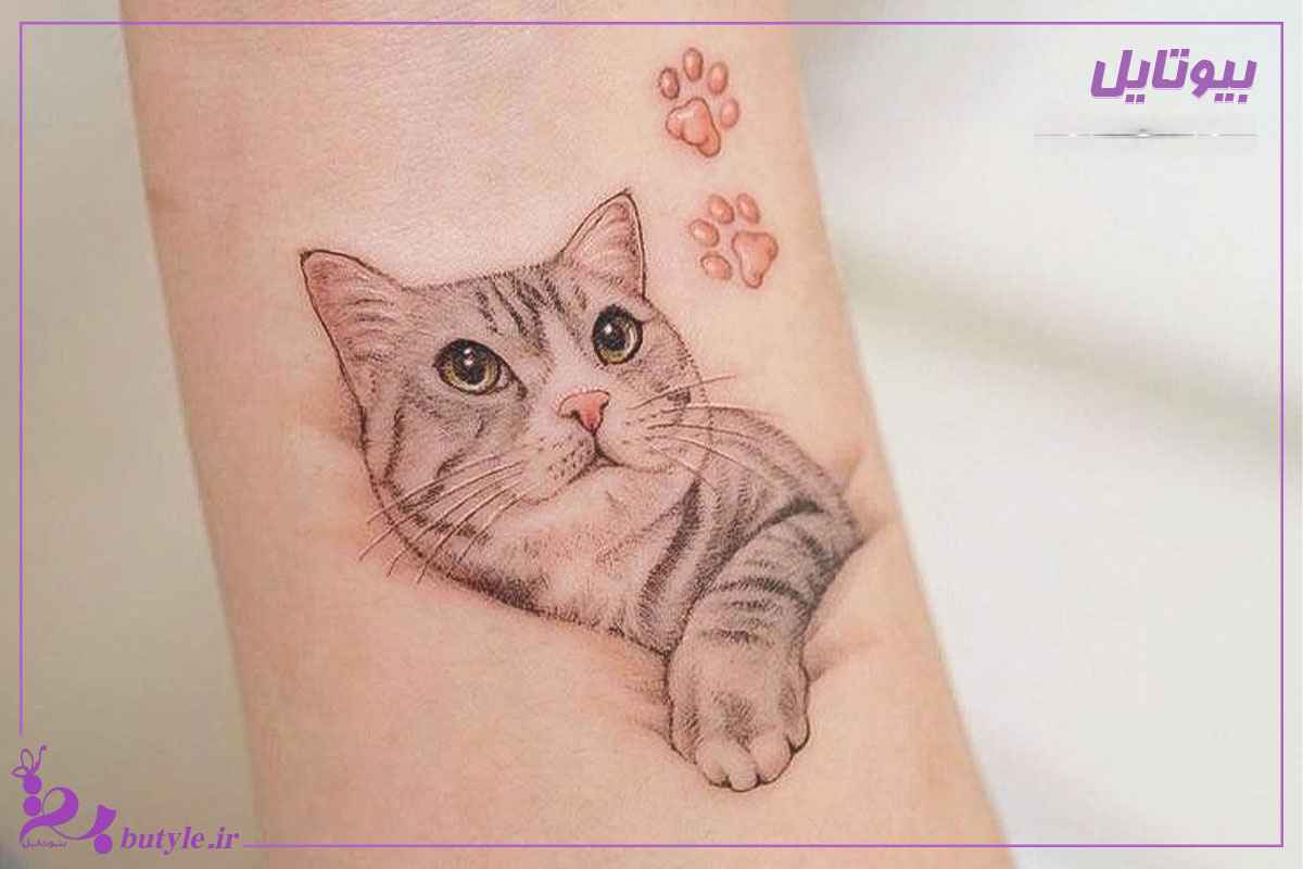 عکس تاتو گربه روی ساعد 
