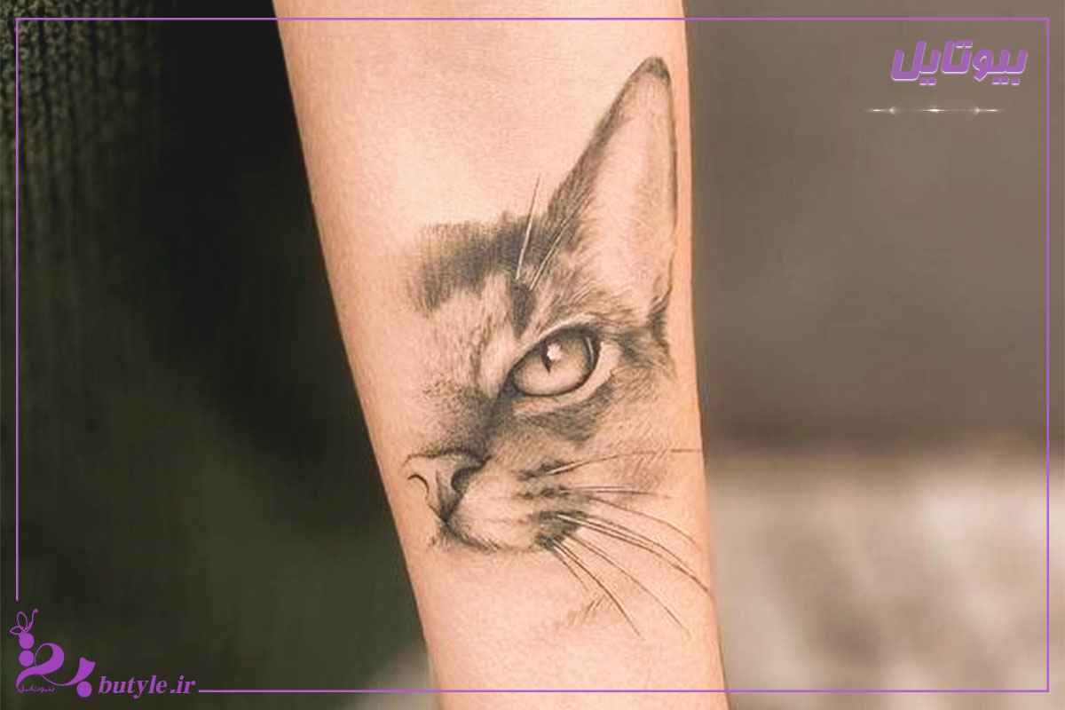 عکس طرح تاتو گربه روی ساعد