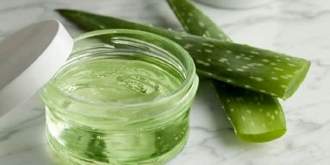 آلوئه ورا معجزه ای برای پوست