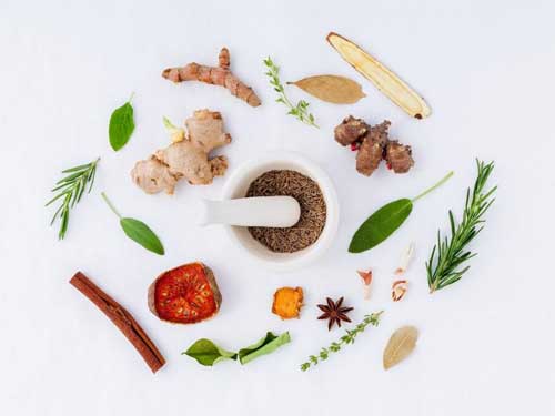 ketogenic diet veg