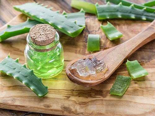 aloe vera coal3
